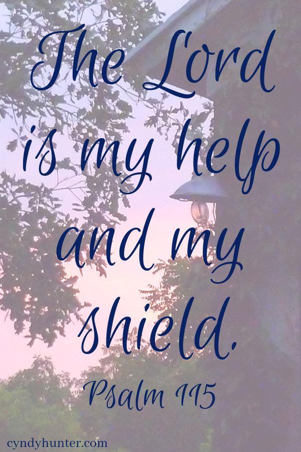 Read the Blog: My Help, My Shield. Just as God promised to keep the Israelites, God promises to keep me. Psalm 115 is full of scriptures for strength and encouragement for walking by faith. #strength #praisetheLord #walkingbyfaith