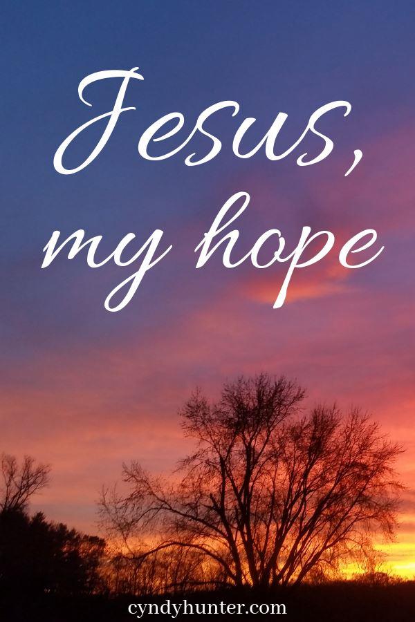 Read the Blog: Hope In a Foreign Land. There are days when hope is in short supply. How do I praise the Lord? It's a time to trust God and remember Jesus my intercessor. #praisetheLord #singpraise #Godisfaithful #trustGod