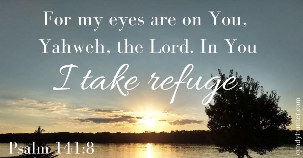 Read the Blog: I Want My Eyes on Jesus. My longing, my prayer, is for Jesus. As I walk by faith, He is my refuge, hiding place, my defender. #Godmyrefuge #Christianliving #Godisgood #TurnyoureyesuponJesus