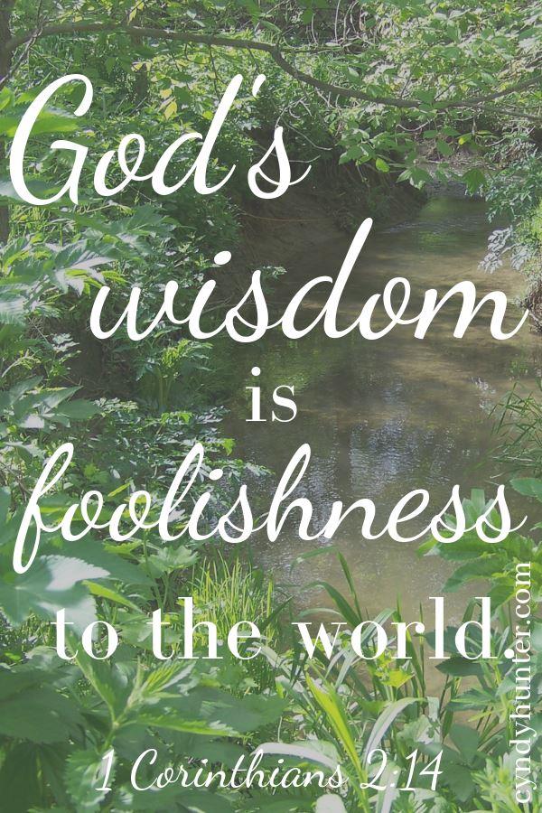 A quote: God's wisdom is foolishness to the world.