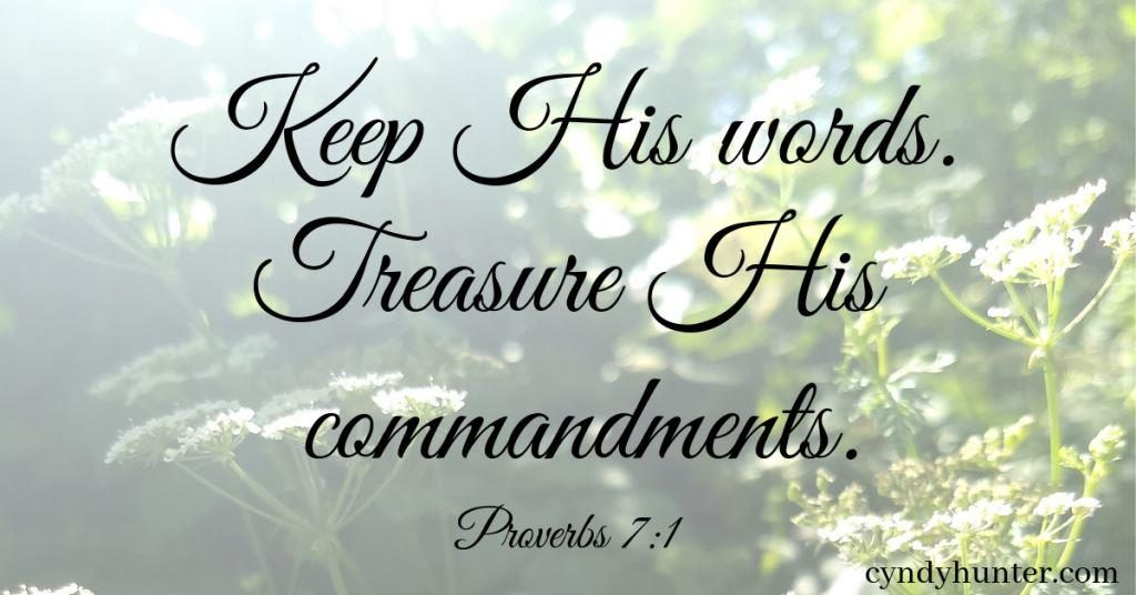 Garden picture with Keep His words. Treasure His commandments.