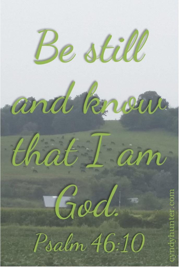Pastoral scene with Psalm 46:10 Be still and know that I am God.