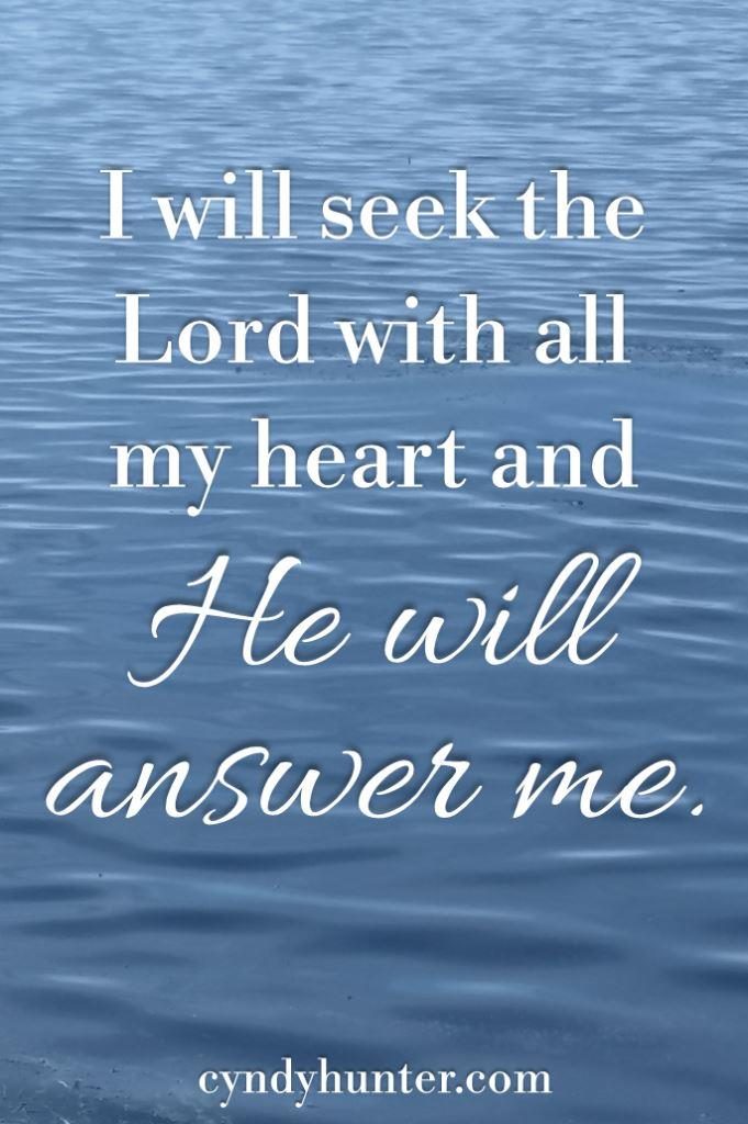 Water with text I will seek the Lord with all my heart and He will answer me.
