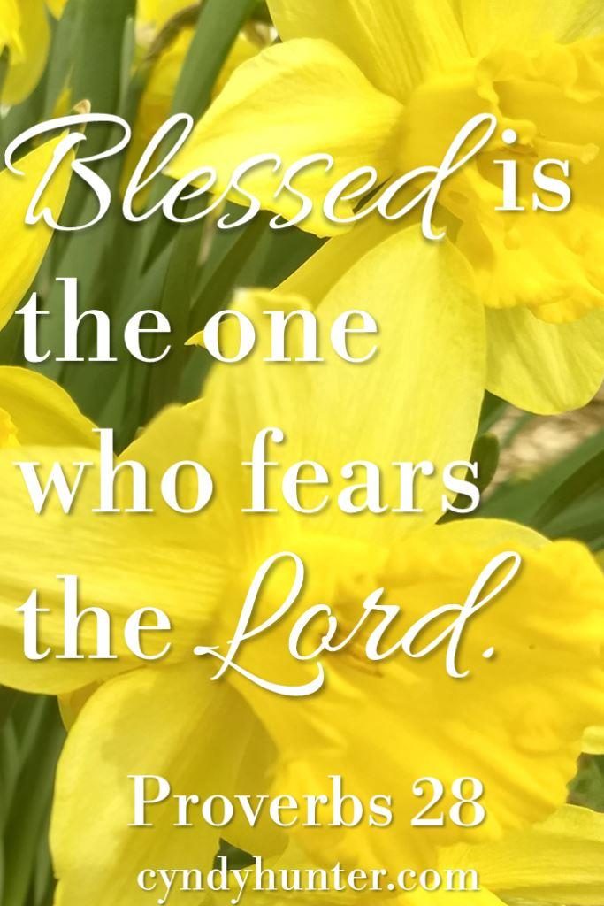 Daffodils with scripture Proverbs 28