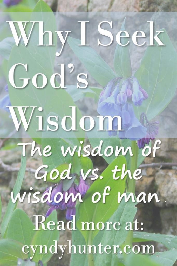 Read the Blog: Why I Seek God's Wisdom