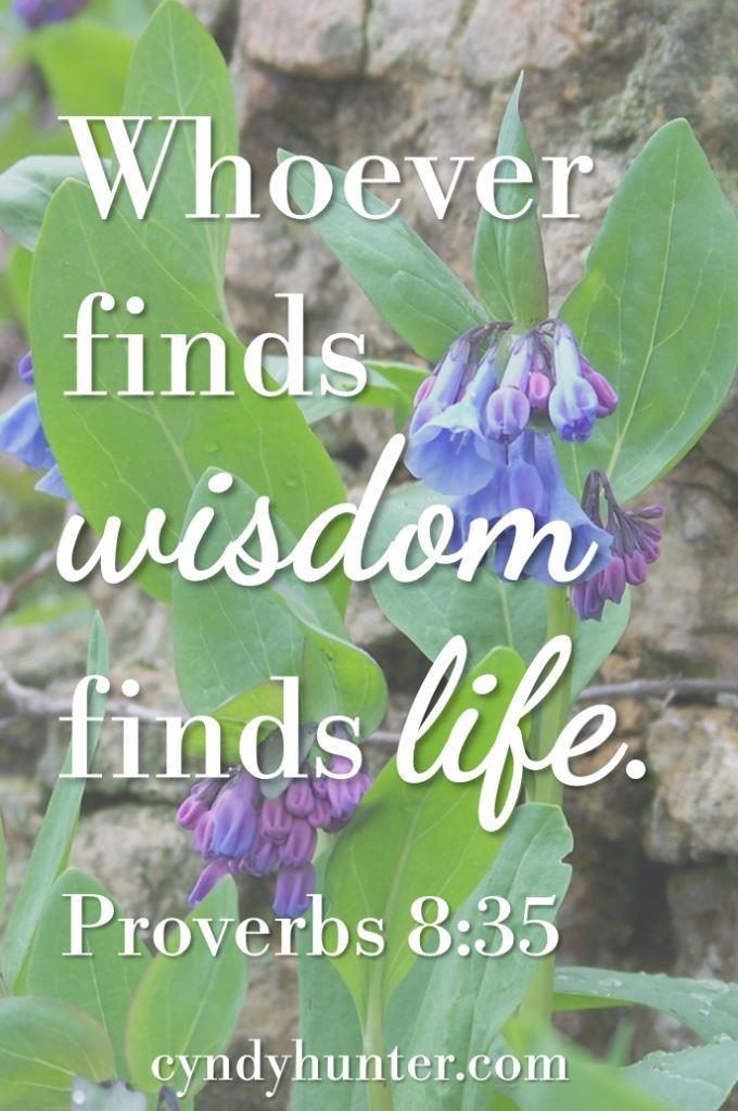 Bluebells with Proverbs 8:35