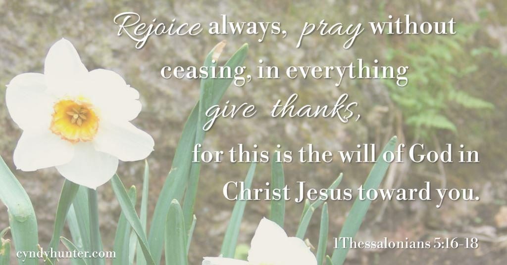1 Thessalonians 5:16-18 on a picture of daffodils