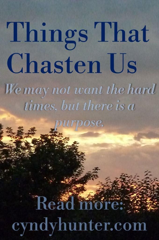 Blog title about God's chastening: Things That Chasten Us.