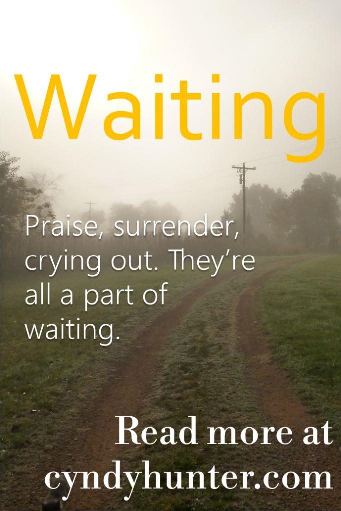 Waiting on the Lord. A Christian Blog.