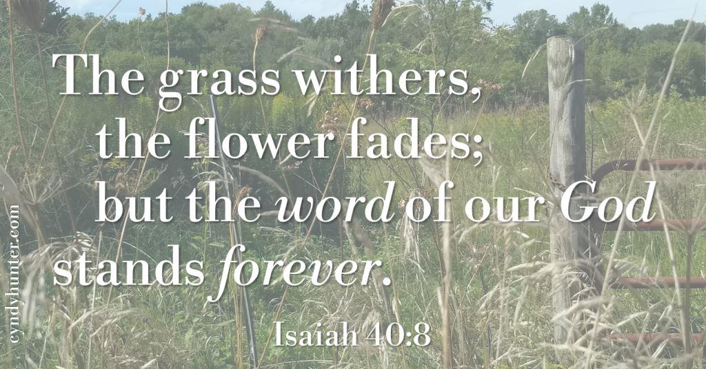 Isaiah 40:8 The grass withers.