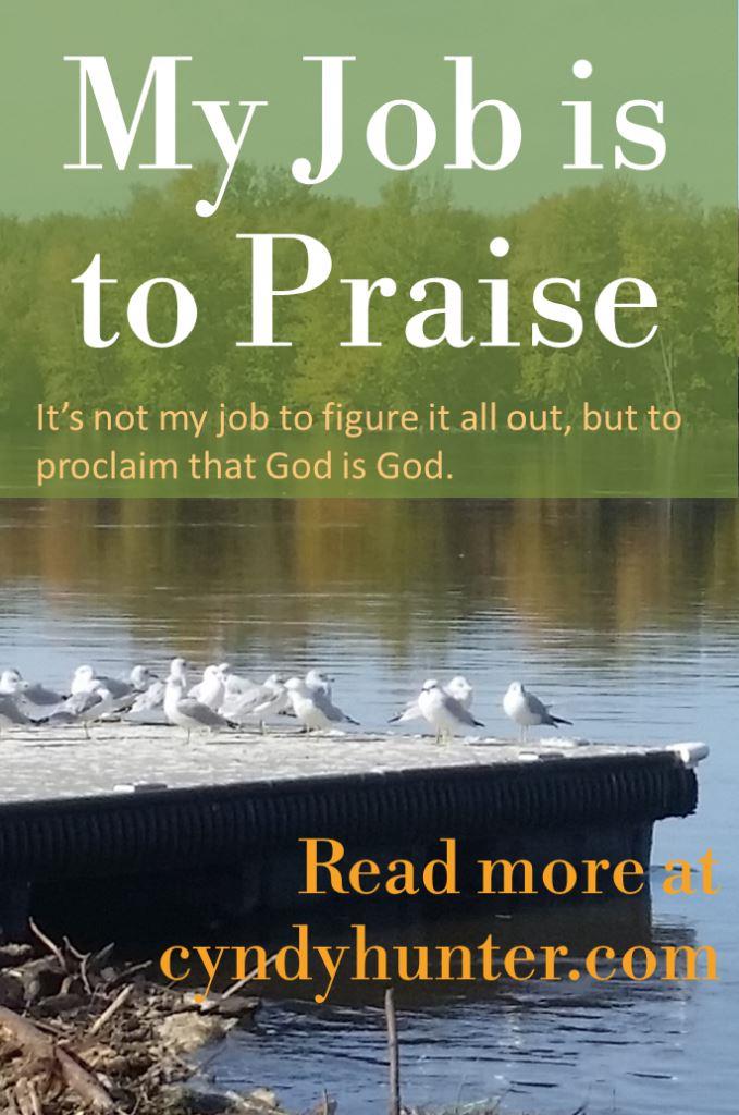 Christian blog. My job is to Praise