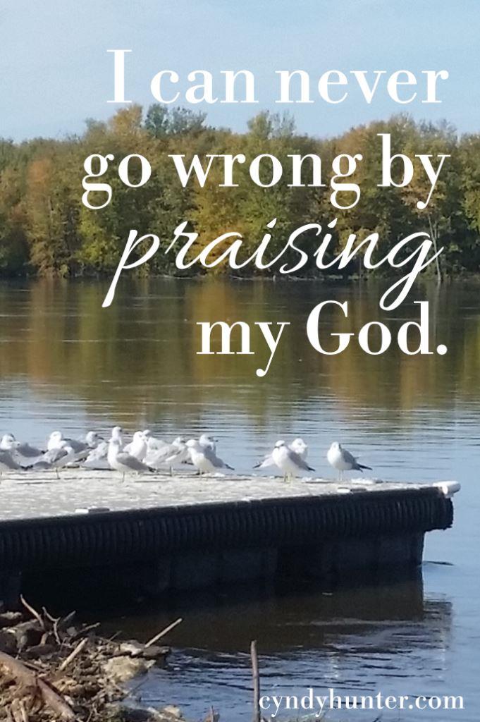 Praise God. Picture of seagulls