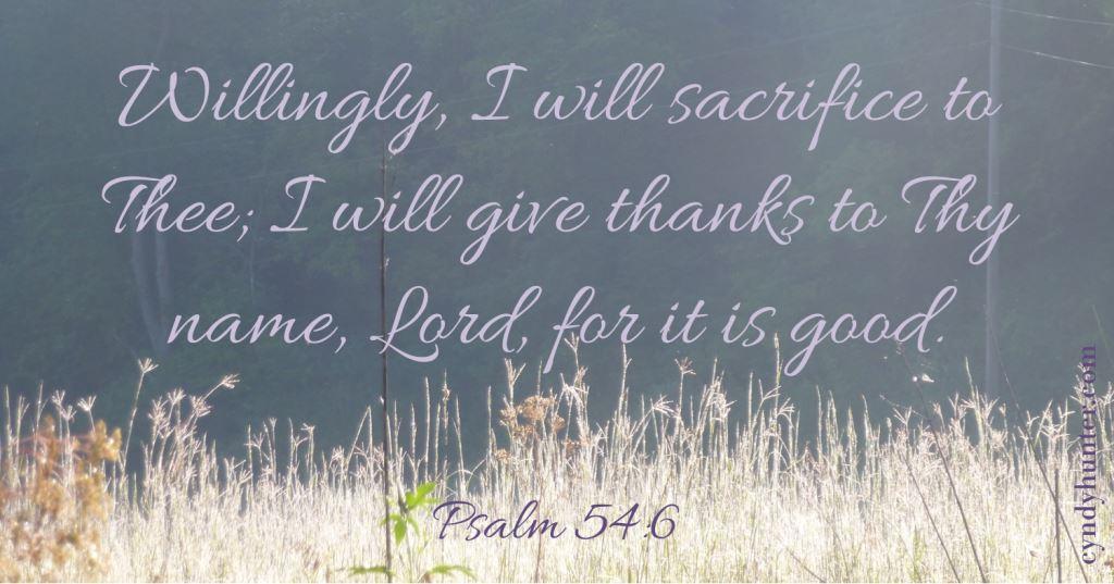 Psalm 54:6