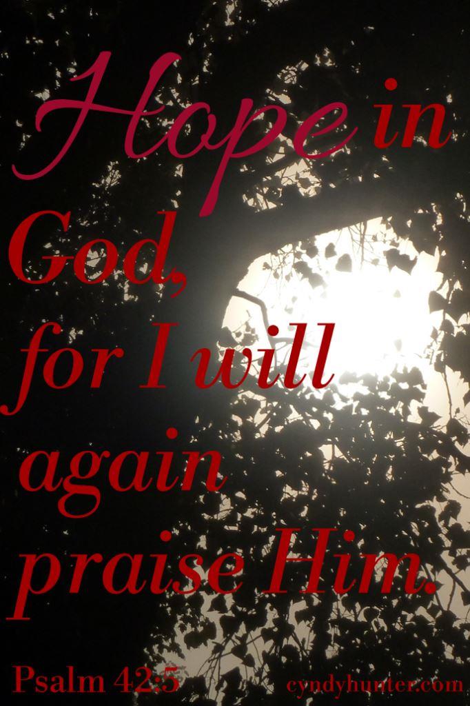 Psalm 42. Hope in God