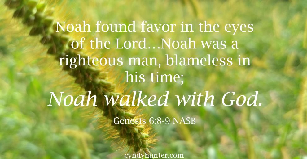 Genesis 6:8-9 Noah walked with God.