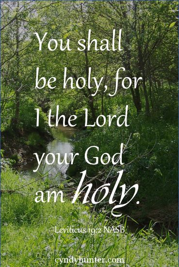 Be holy because I the Lord am holy.