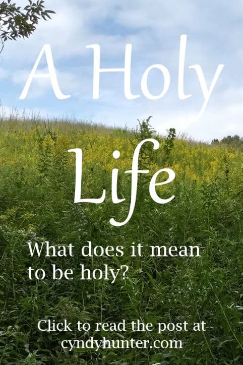 What Does it Mean to be Holy? A Christian Blog Post