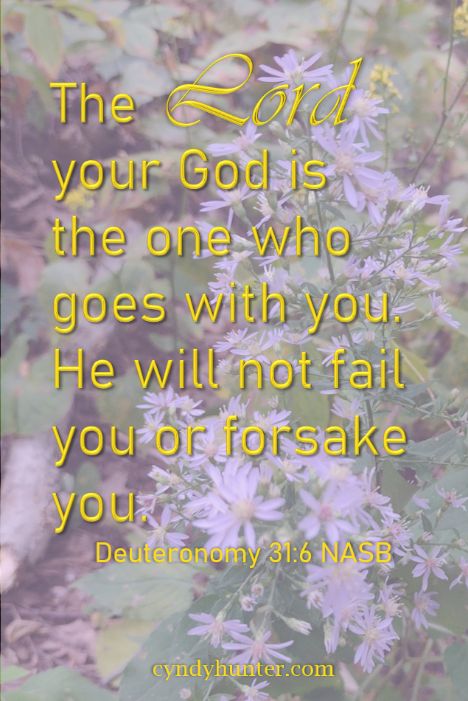 Deuteronomy 31:6 He will never leave you or forsake you.
