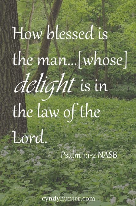 How blessed is the man whose delight in in the law of the Lord. Psalm 1:1-2