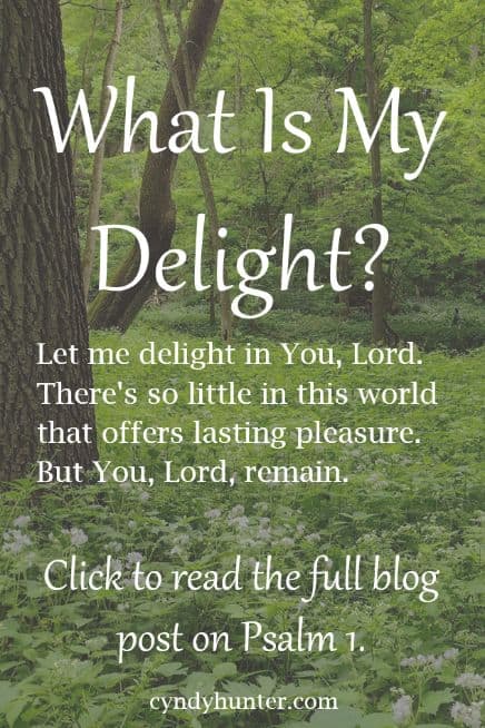 Blog Post on Psalm 1 "What is my Delight?"